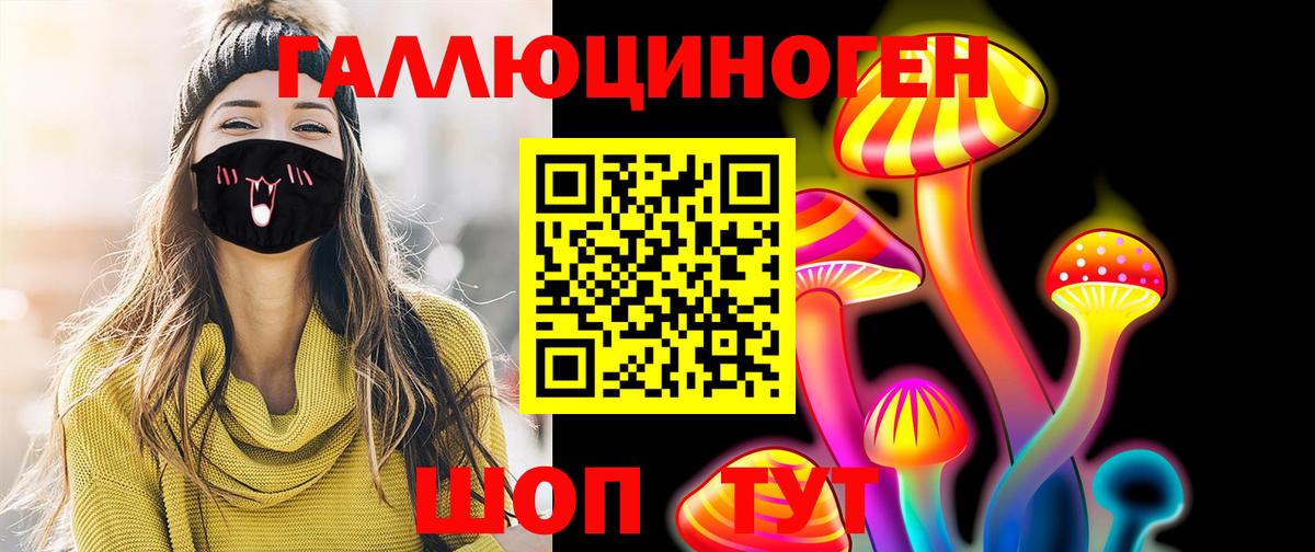 Псилоцибиновые грибы мицелий Ставрополь